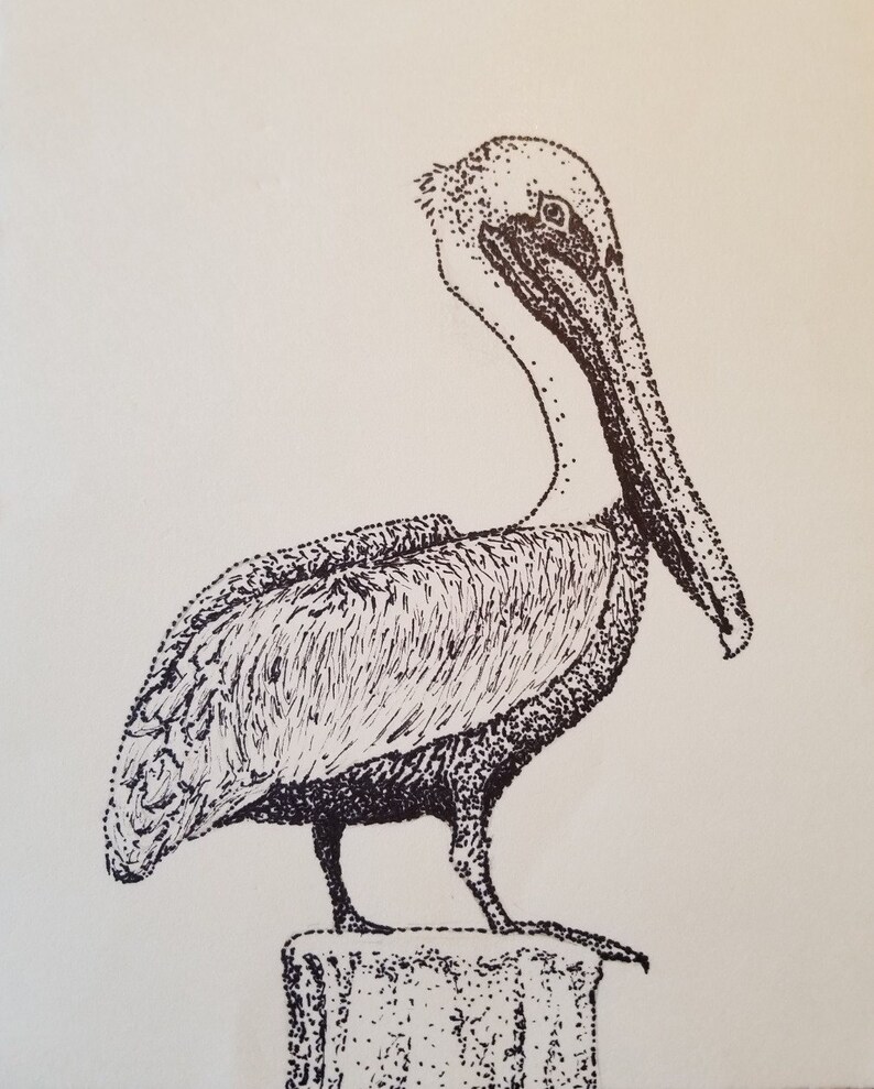 Stippled Pelican Print, 8X10 Inch image 1