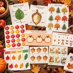 Peut inclure: Un ensemble de supports pédagogiques sur le thème de l'automne comprenant des fiches sur les feuilles, l'anatomie du gland et les arbres, ainsi que des tapis de soustraction, des cartes de tri de couleurs, de comptage et d'animaux.