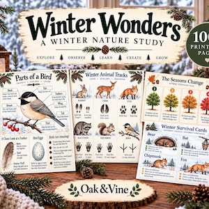May include: A collection of educational printable pages titled Winter Wonders A Winter Nature Study, featuring illustrations of bird anatomy, animal tracks, seasonal tree changes, and winter survival strategies for various wildlife species.