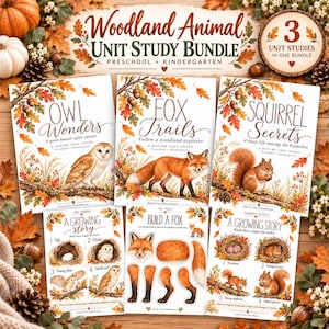 May include: A Woodland Animal Unit Study Bundle for preschool and kindergarten featuring three educational guides titled Owl Wonders, Fox Trails, and Squirrel Secrets, accompanied by three activity sheets showing animal life cycles and parts.