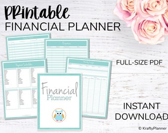 Financial Planner: Instant Download