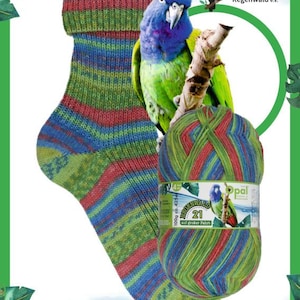 May include: A colorful sock with blue, green, and red stripes is displayed next to a ball of yarn with a matching pattern. A parrot and a toucan are perched on a branch. The text "Rettet den Regenwald e.v." is visible.