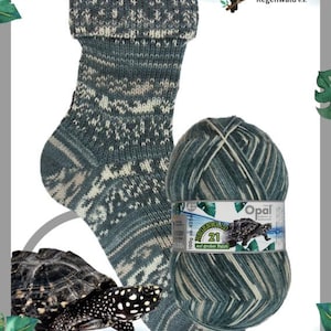 May include: A teal and white patterned sock next to a ball of yarn with a matching color scheme. The yarn label features a turtle graphic and the text "Regenwald 21". A toucan and a turtle are also in the image.