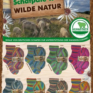 May include: Image features colorful Opal sock yarn and matching socks. The yarn and socks are in various color combinations, including blue, green, pink, and orange. The packaging includes the text "Schafpate 17 - Wilde Natur."