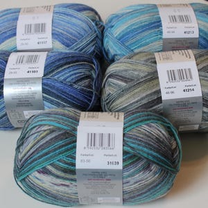 May include: Five skeins of variegated yarn in shades of blue, teal, and gray. Each skein has a paper label with product information. The yarn is tightly wound, showing the color variations. Ideal for knitting or crochet projects.