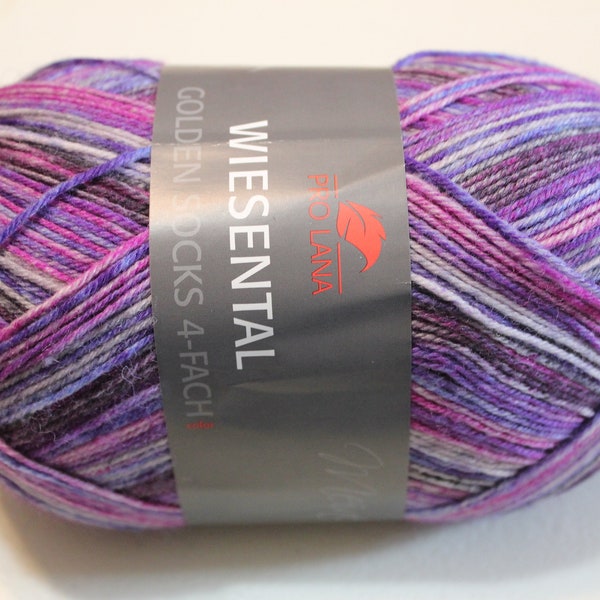 T3: purple is hard to find Golden Weisenthal  100 grams 462 yards 75% wool 25 nylon superwash fingering