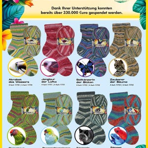 May include: A promotional display for Opal Regenwald 22 yarn featuring eight distinct colorways of knitted socks and yarn balls. Each set is paired with an animal or insect image, including a fish, bird, butterfly, cat, parrot, fox, and frog.