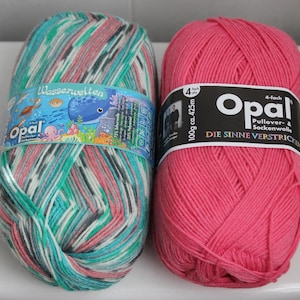 array sock yarn OPAL 11143 + compatible solid