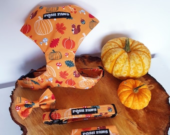 Autumnal animal forest woodland adjustable dog harness, collar, lead, dickie bow set pumpkin, halloween