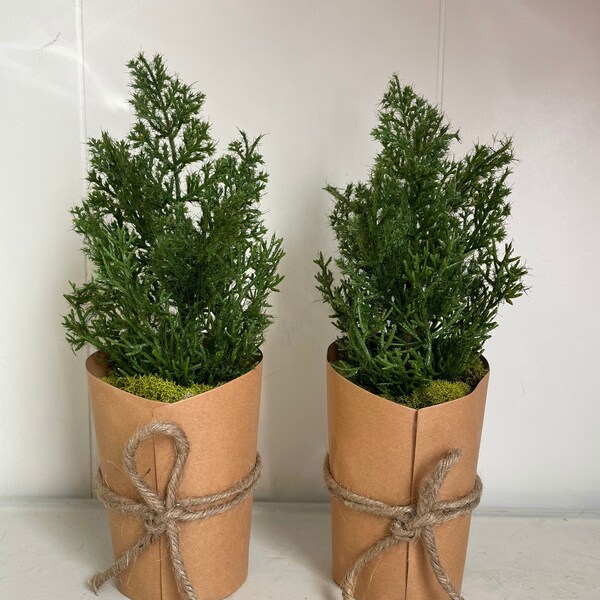 Artificial Tabletop Plants Etsy