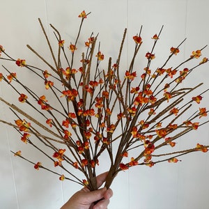 2 Tall Bittersweet Twig / Sprays. Premium Quality Faux Bittersweet Stems. Decorate for Autumn/Fall/Thanksgiving. 29 inches. Sold in Pairs.