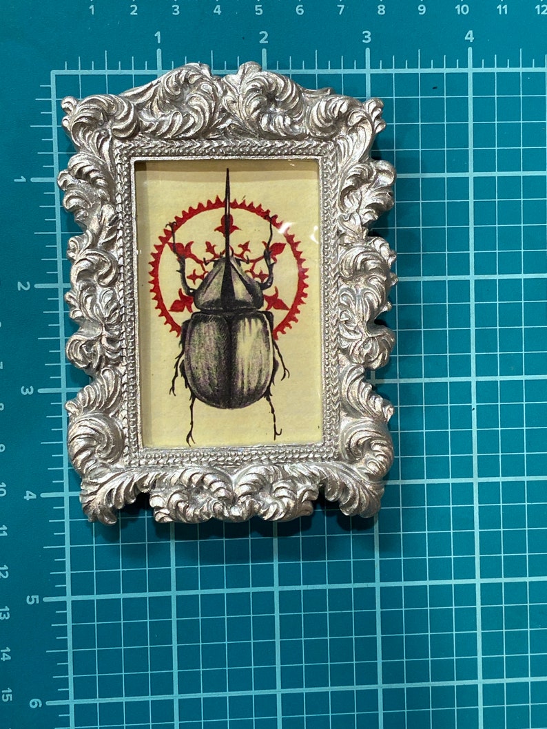 Small Framed Beetle Print image 5