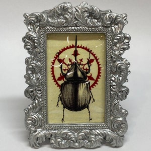 Small Framed Beetle Print image 1