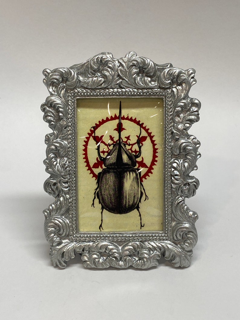 Small Framed Beetle Print Bug 1