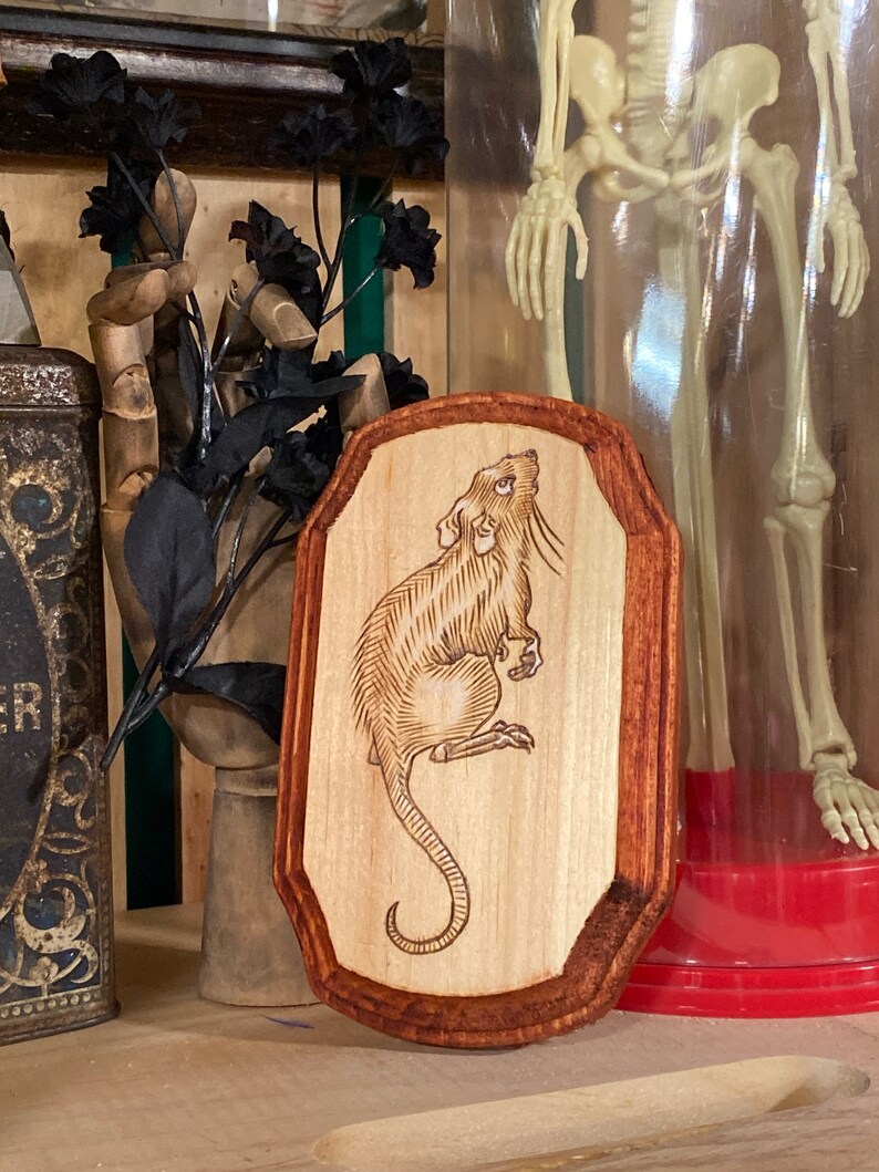 K&ouml;nnte beinhalten: Eine Holzplakette mit einem handgebrannten Bild einer Ratte, die nach oben schaut. Die Plakette ist dunkelbraun gebeizt und hat eine abgeschr&auml;gte Kante.