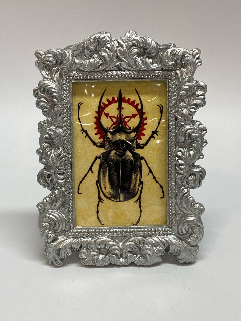 Small Framed Beetle Print Bug 4