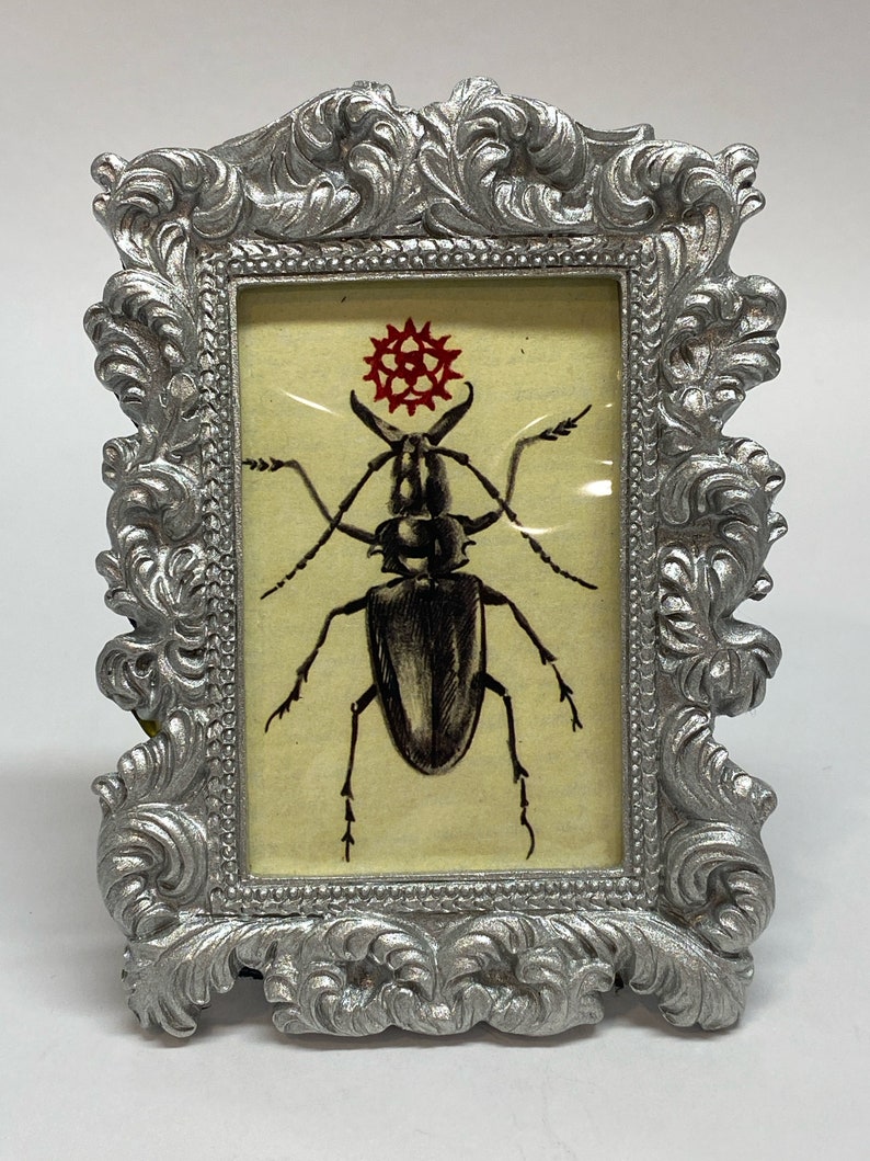 Small Framed Beetle Print Bug 3