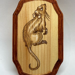K&ouml;nnte beinhalten: Ein Holzbrandbild einer Ratte auf einer Holztafel mit rotem Rand.