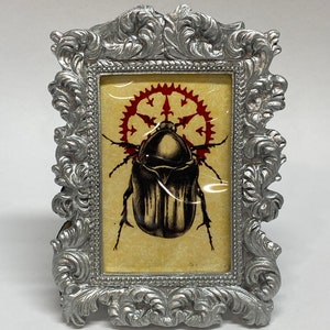 Small Framed Beetle Print Bug 2