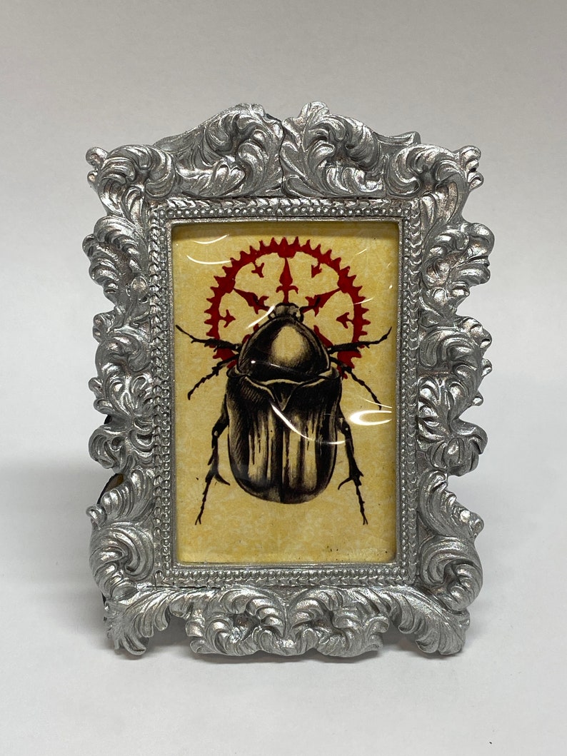 Small Framed Beetle Print Bug 2