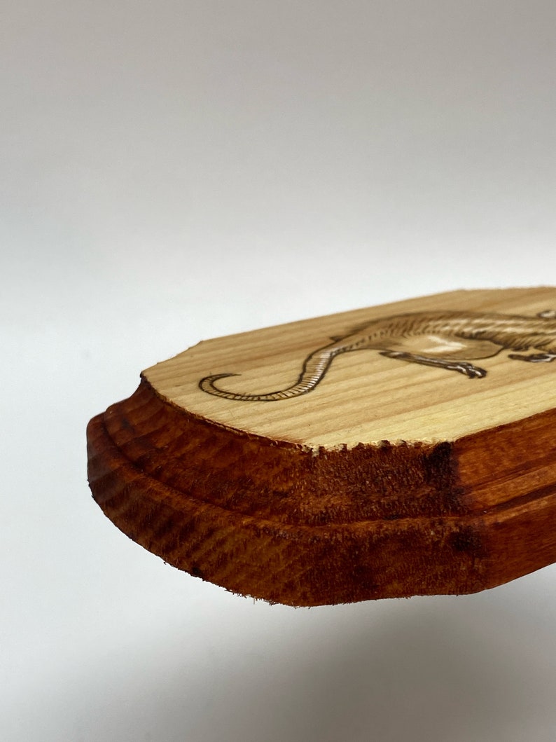 K&ouml;nnte beinhalten: Eine Holzplakette mit einem lasergravierten Bild eines Dinosauriers. Die Plakette hat einen dunkelbraunen Rand und eine hellbraune Mitte.