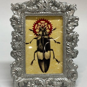 Small Framed Beetle Print Bug 5