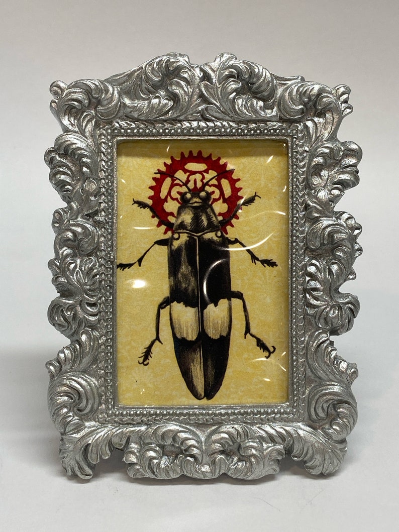 Small Framed Beetle Print Bug 5