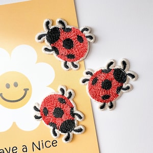 Set di piccole toppe termoadesive a forma di coccinella, distintivo ricamato a forma di coccinella, toppa decorativa con motivo a insetto, simpatica toppa minuscola per vestiti