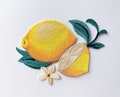 Lemon Iron-On Patch, Citrus Fruit Badge, Embroidered Fruity Applique, DIY for Embroidery Enthusiasts and Summer Lovers product logo