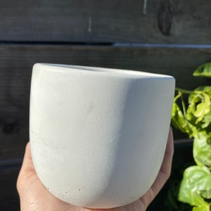May include: A white concrete planter with a rounded, slightly irregular shape. The planter is smooth and has a matte finish.