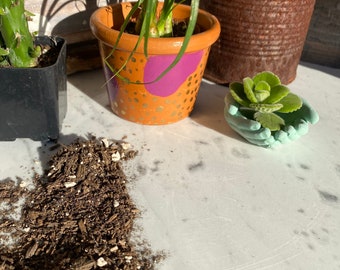 Hand Painted Mini Terracotta Pot