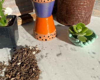 Hand Painted Mini Terracotta Pots (Set of Two)