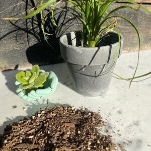 3“ Round Terra-cotta Style Concrete Pot (Charcoal)