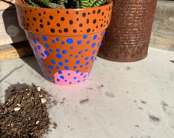 Hand Painted Terracotta Pot