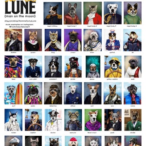 May include: A grid of images showing different styles of pet portraits, including a dog dressed as a pirate, a cat dressed as a knight, and a dog dressed as a firefighter. The text "Most Popular Available Styles" is at the top of the image. The text "made for real clients - Not full list of styles" is below the title.