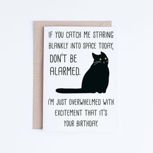 Funny Black Cat Birthday Cards Instant Download, Funny Cat Printable Birthday Cards, Sarcastic Cat, From The Cat Card Digital Download image 1