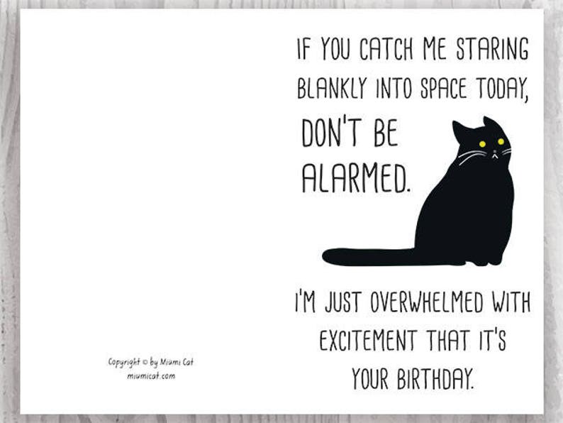Funny Black Cat Birthday Cards Instant Download, Funny Cat Printable Birthday Cards, Sarcastic Cat, From The Cat Card Digital Download image 3