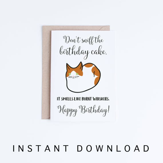 Old English Co. Funny Happy Birthday Card From Cat Iceland