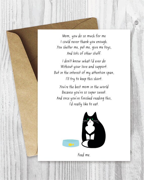 Funny Mothers Day Cards Cats Funny Cat Lover Mothers Day Card For Her