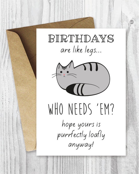 Old English Co. Funny Happy Birthday Card From Cat Iceland - View #8