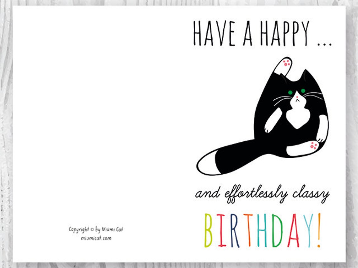 Printable Birthday Cards Funny Cat Birthday Cards Instant - Etsy