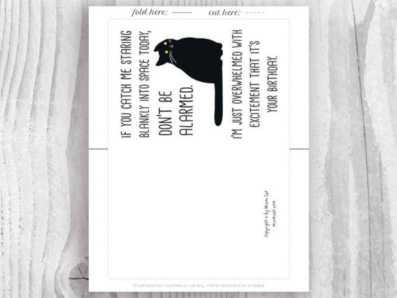 Funny Black Cat Birthday Cards Instant Download, Funny Cat Printable Birthday Cards, Sarcastic Cat, From The Cat Card Digital Download image 2