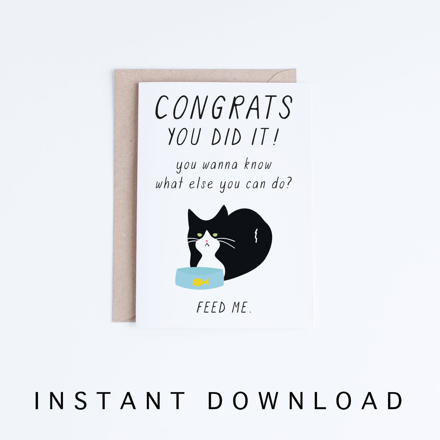 graduation autograph cat
