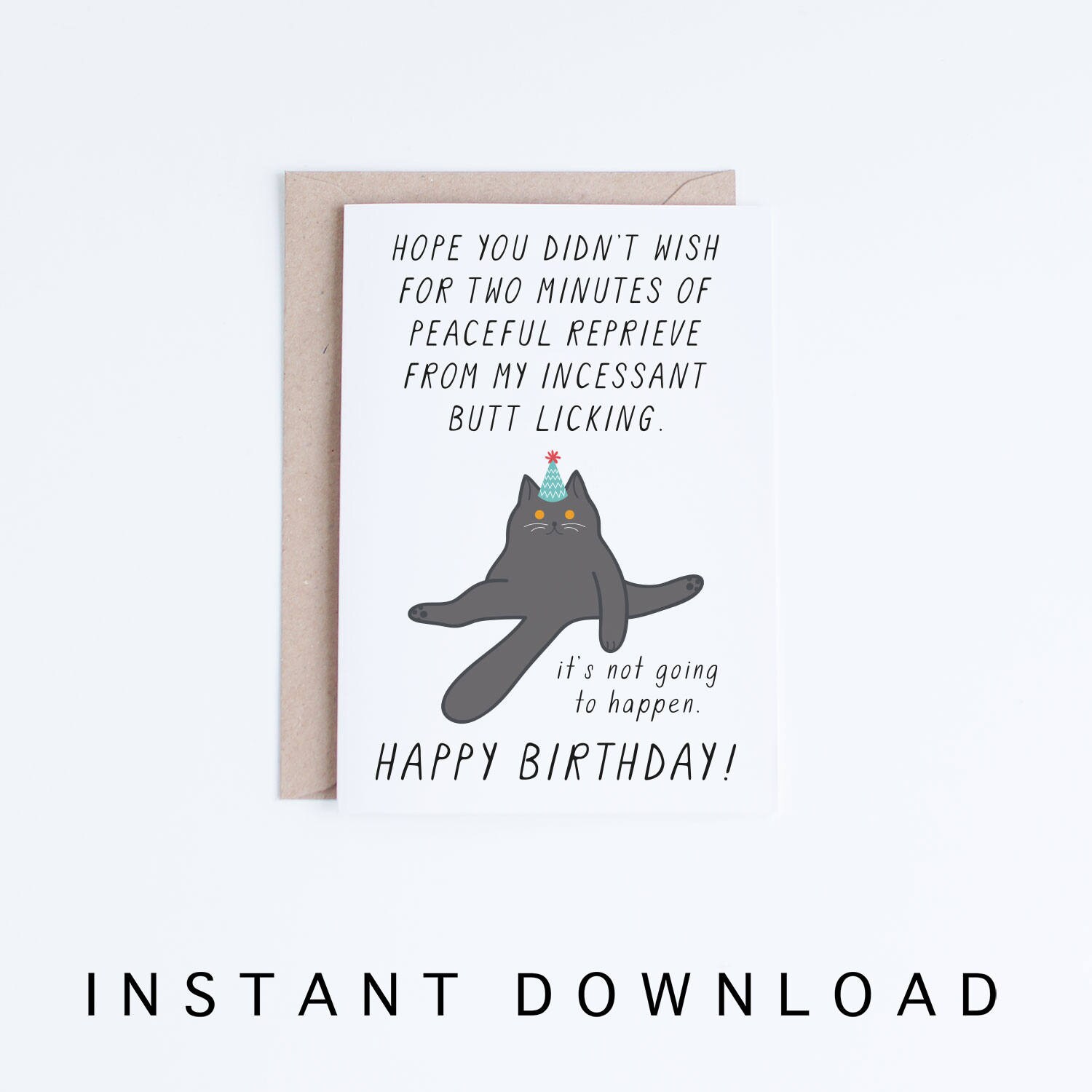 Dave Coverly 's Feline Funnies誕生日ユーモアGreeting Card Box of 10 Designs (SKU:A Cats \u0026 Yoga Funny Birthday Card - Greeting Card by Nobleworks