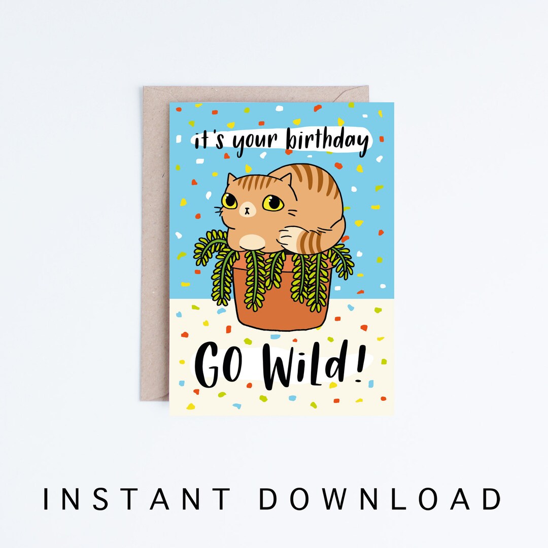 Funny Cat Birthday Cards Instant Download, Printable Cards, Orange ...