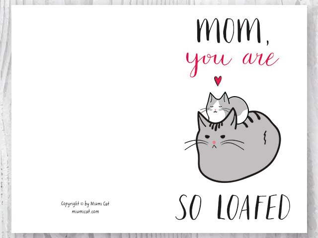 Cats giving mom energy… to remind you that Mother's Day is Sunday 👀 Tag  your mom