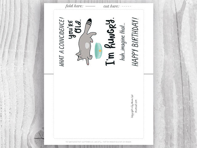 Sarcastic Birthday Cards Instant Download, Funny Printable Cat Birthday ...