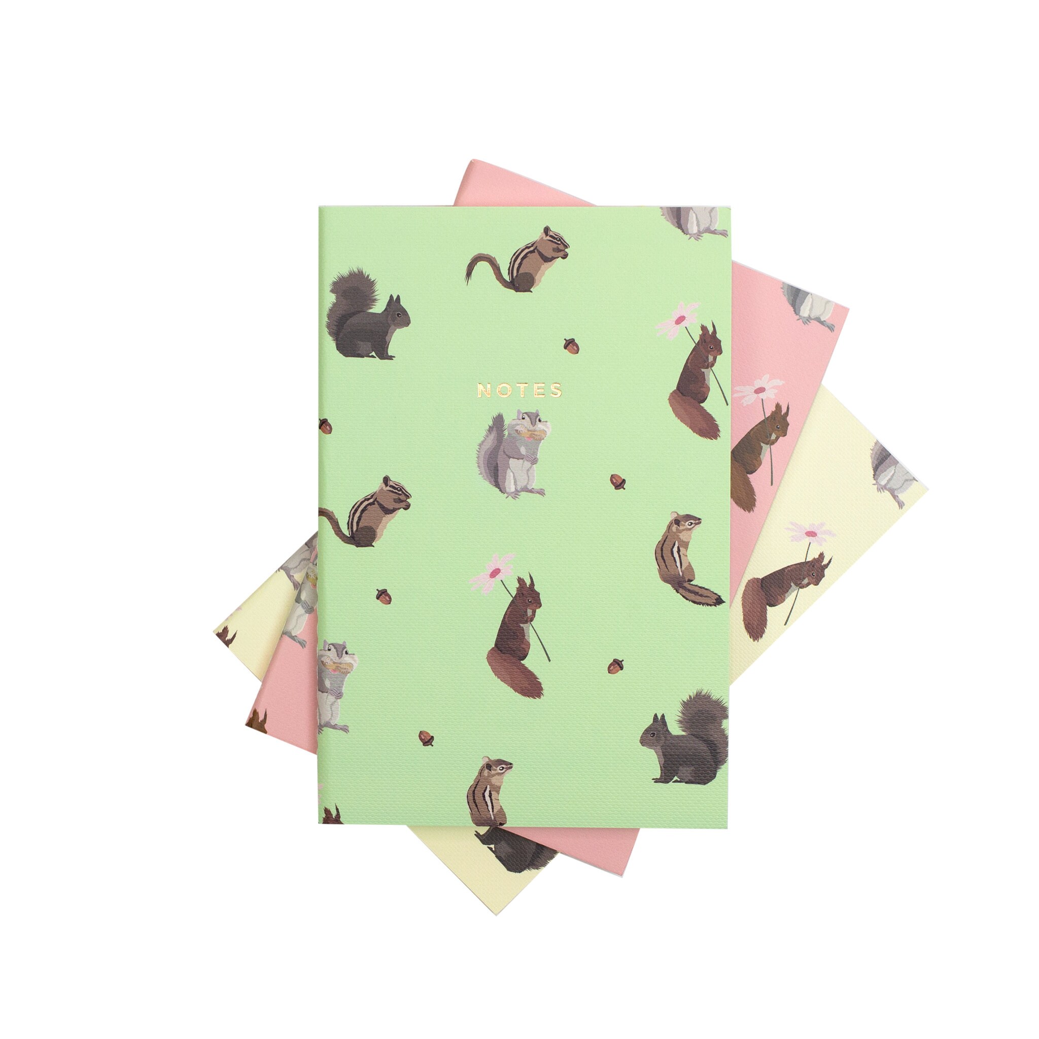 Mini Squirrel Notebook 3/SET - Etsy