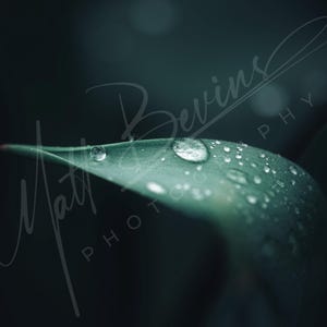 Rain drops digital download print