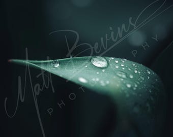 Gotas de chuva digital download impressão